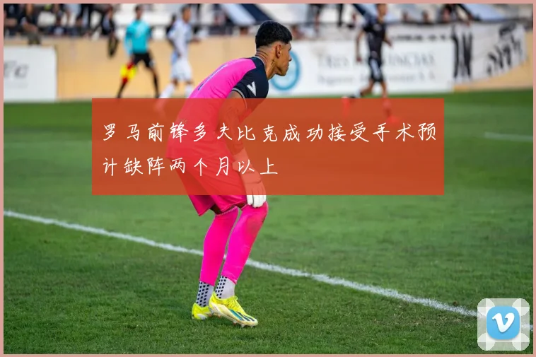 罗马前锋多夫比克成功接受手术预计缺阵两个月以上